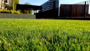 A close up of a green field