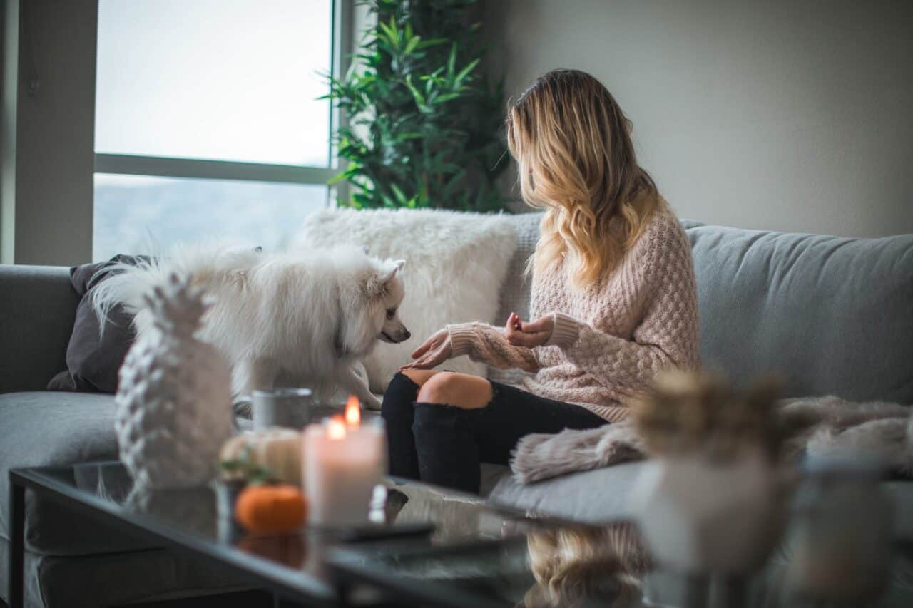 A person holding a cat