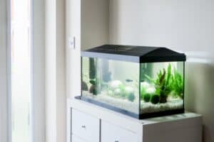 API Fishcare - Tropical Home Aquarium