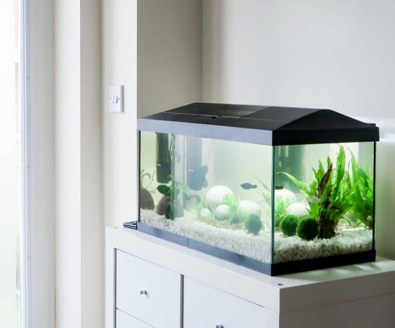 API Fishcare - Tropical Home Aquarium