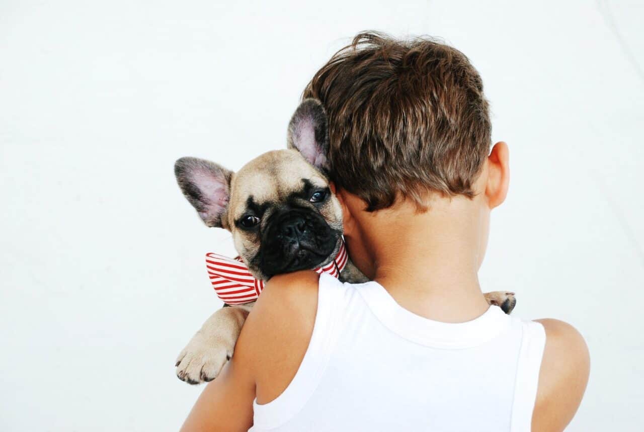 How to make sure your child and your new pet get along well