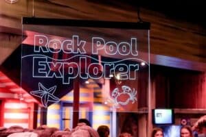 SEA LIFE Great Yarmouth Rock Pool Explorer