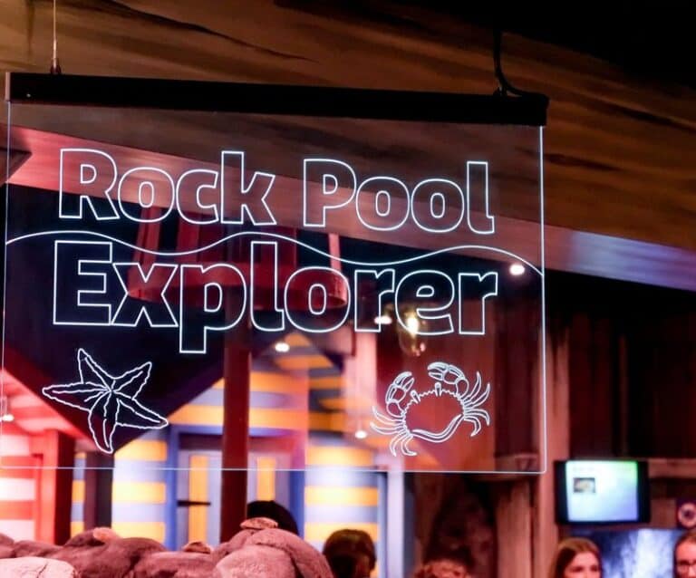 SEA LIFE Great Yarmouth Rock Pool Explorer