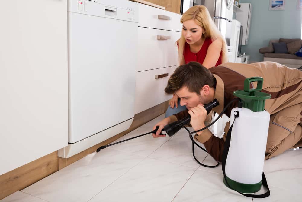 Hiring Pest Control in Manchester: What You Should Consider