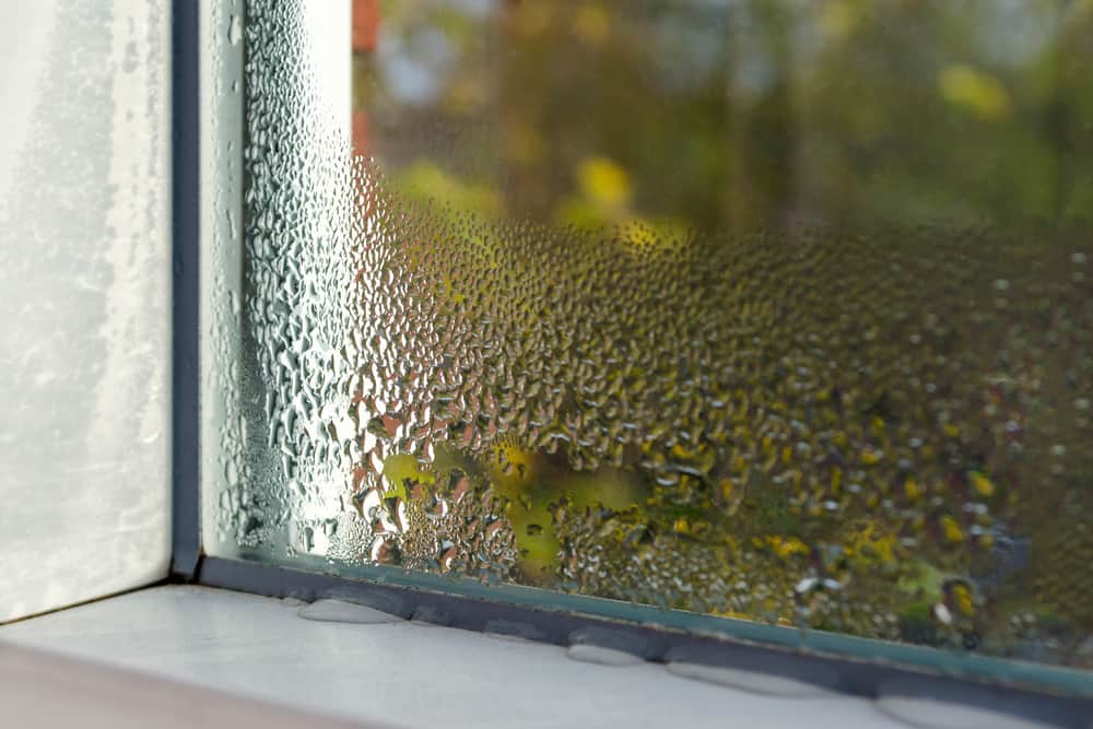 How to Prevent Condensation on Your Windows Once and For All