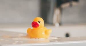 a wet yellow rubber duck