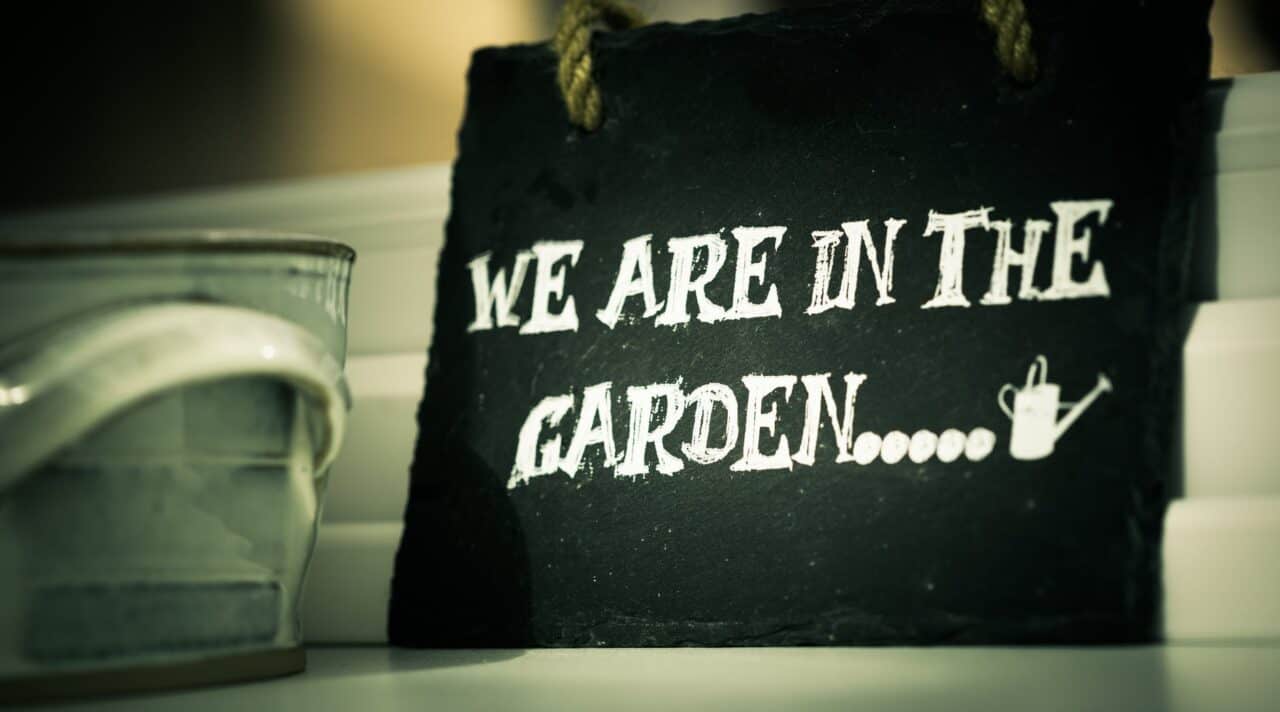 make your garden a usable space in time for summer | we are in the garden sigange