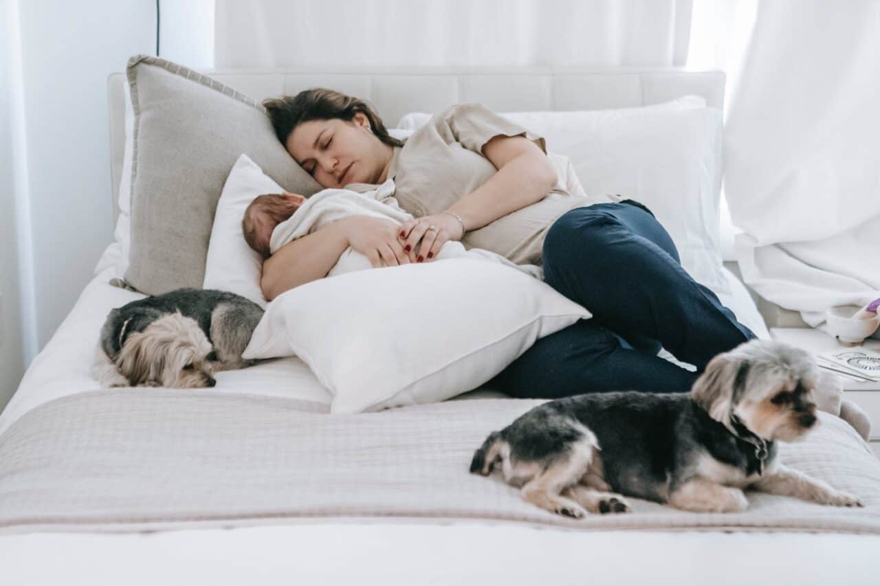 tired mother with baby sleeping on bed near small dogs