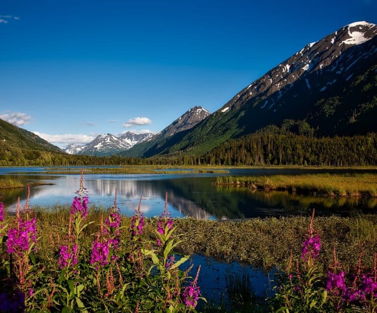 Chugach National Forest