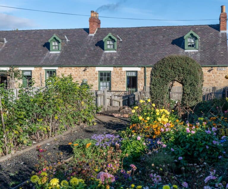gardens in front of a terraced house