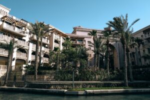 hotel among palm trees in dubai