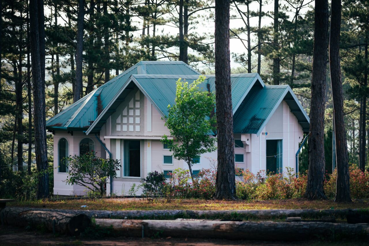 a bungalow between trees in a forest