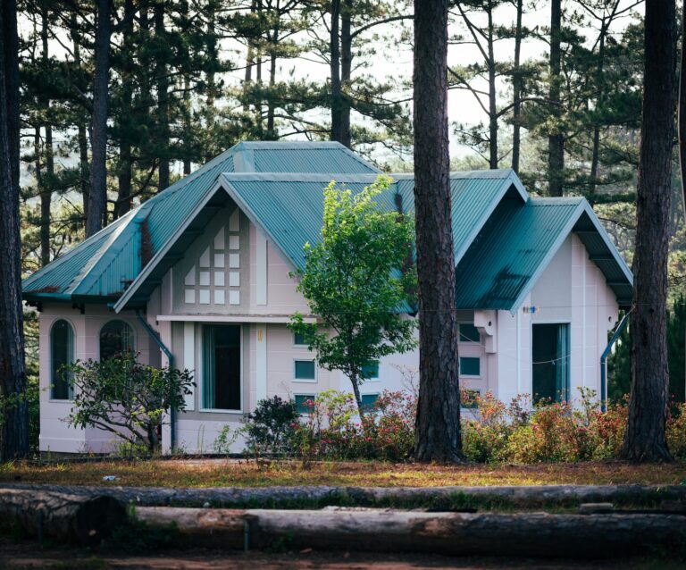 a bungalow between trees in a forest