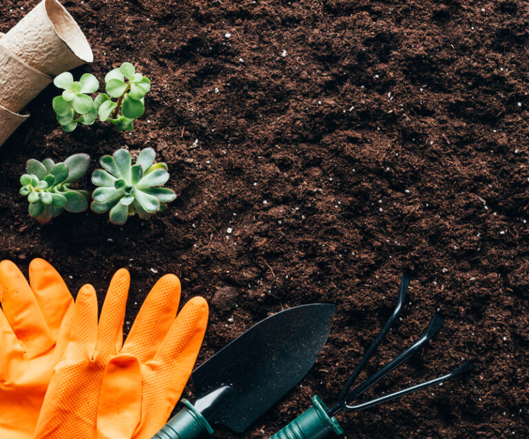 Effective Ways to Ensure Your Garden is Always Tidy