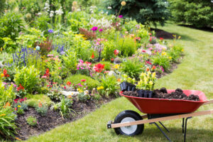 Can You Landscape Your Own Garden?