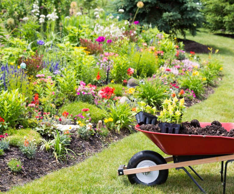 Can You Landscape Your Own Garden?