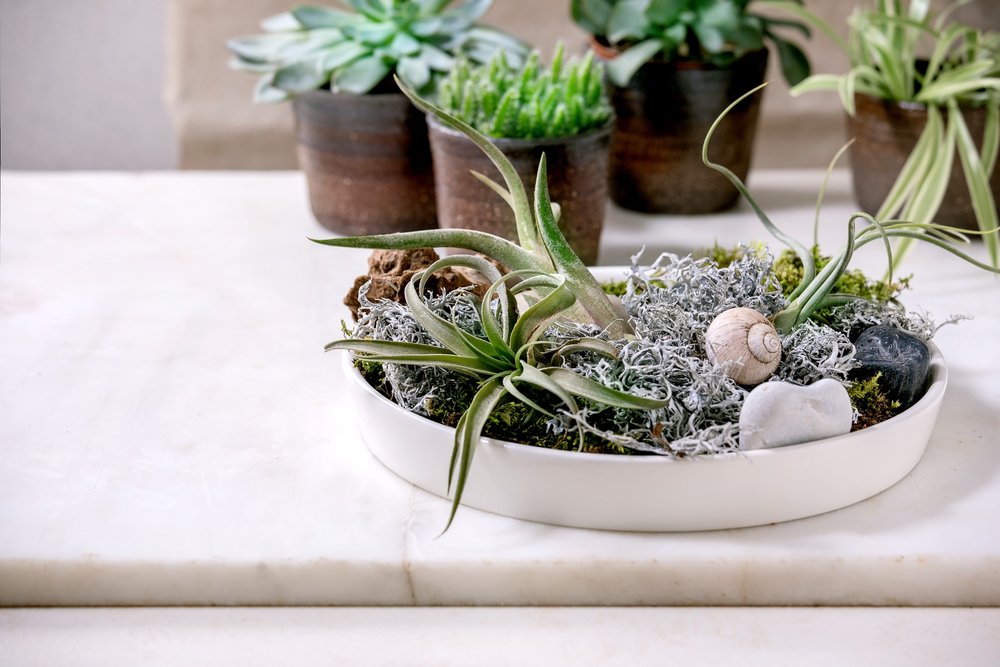 How to Keep Indoor Plants Warm in Winter - Essential Tips for a Thriving Winter Garden