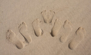 How Hectic Family Life Influences Optimal Foot Health