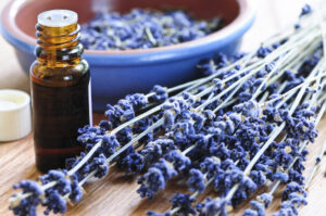 10 Benefits of Lavender around the home