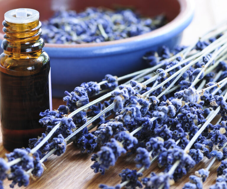 10 Benefits of Lavender around the home