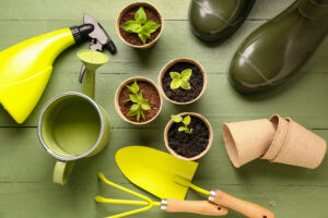 How to Begin Your Gardening Journey: A Guide