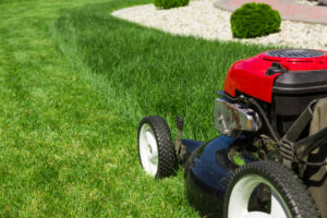 Top Maintenance Tips to Achieve a Year-Round Stunning Lawn