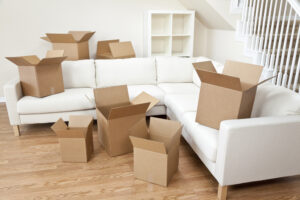 DIY vs. Professional Removalists: Pros and Cons