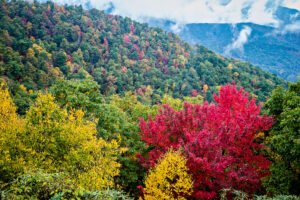 The Smokies: 7 Reasons Adventure Seekers Should Visit