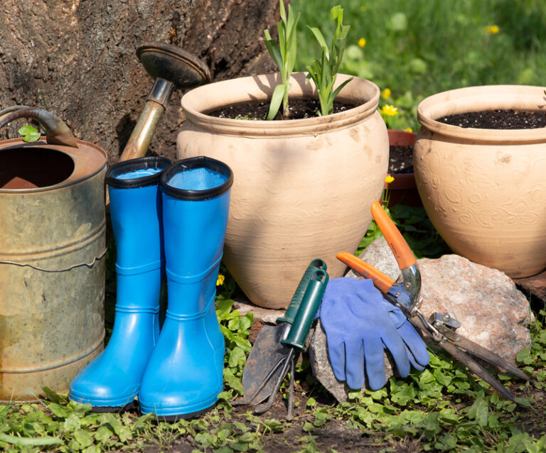 Garden Maintenance Tasks You Should Never Neglect