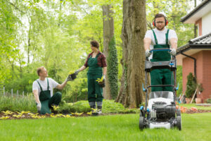 The Benefits of Professional Lawn Care Services