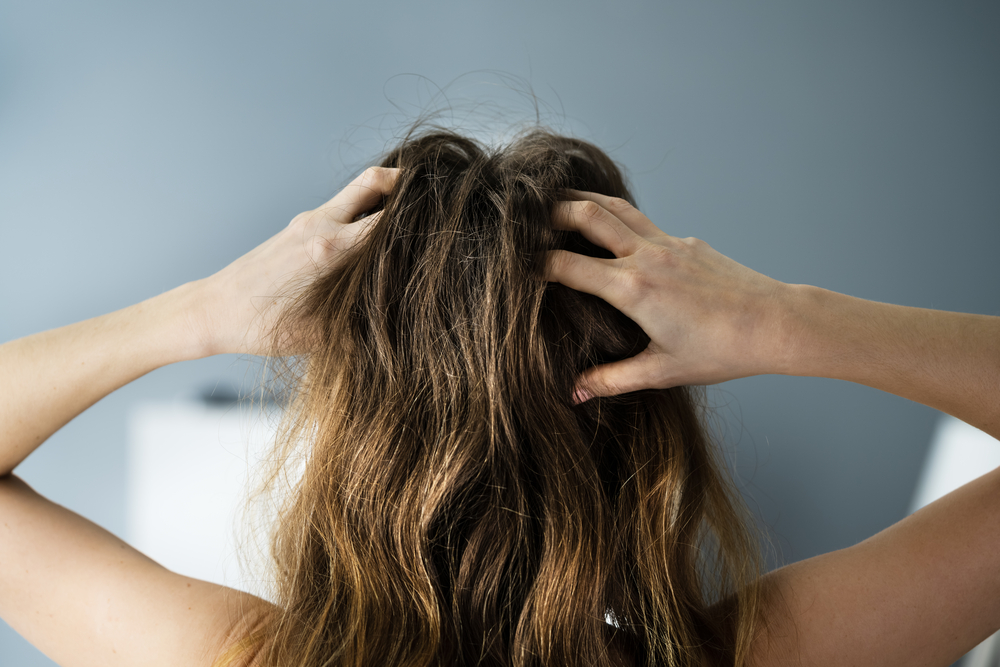 Fix Dry and Damaged Hair With These Top Tips