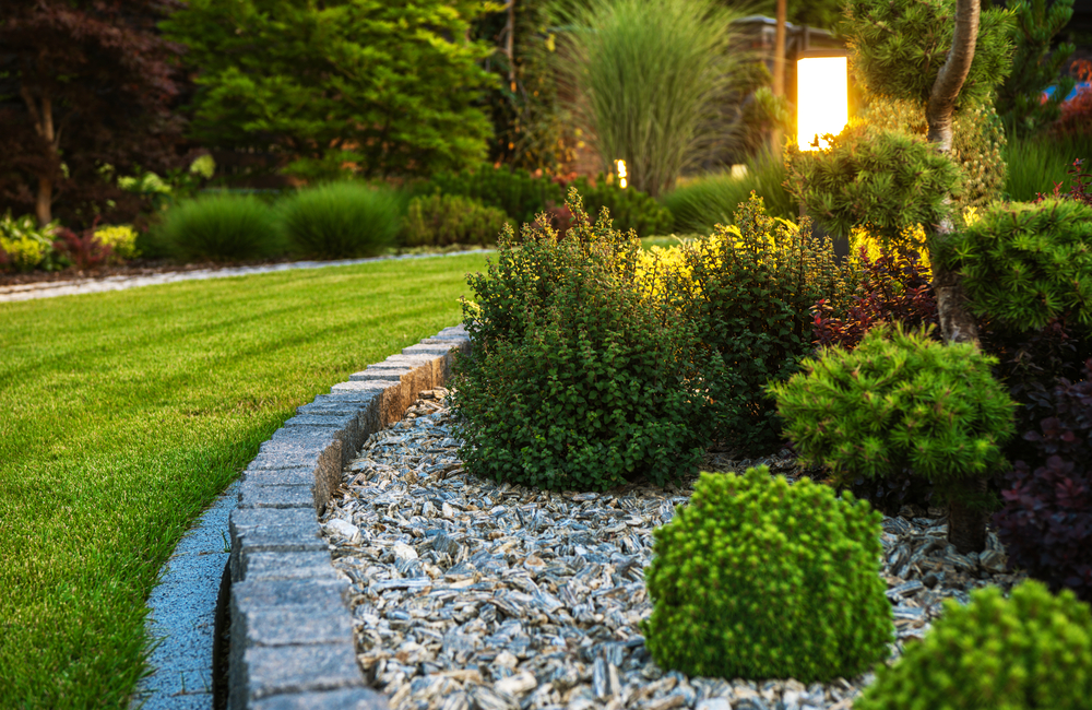 What Every Homeowner Needs to Know About Landscape Management