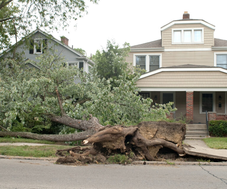 Natural Disaster: Things to Do if Your House Has Been Damaged