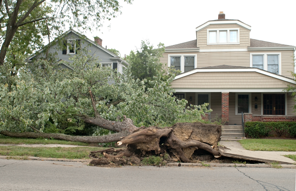 Natural Disaster: Things to Do if Your House Has Been Damaged