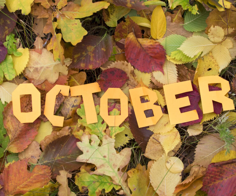 Fun ideas for the October half term