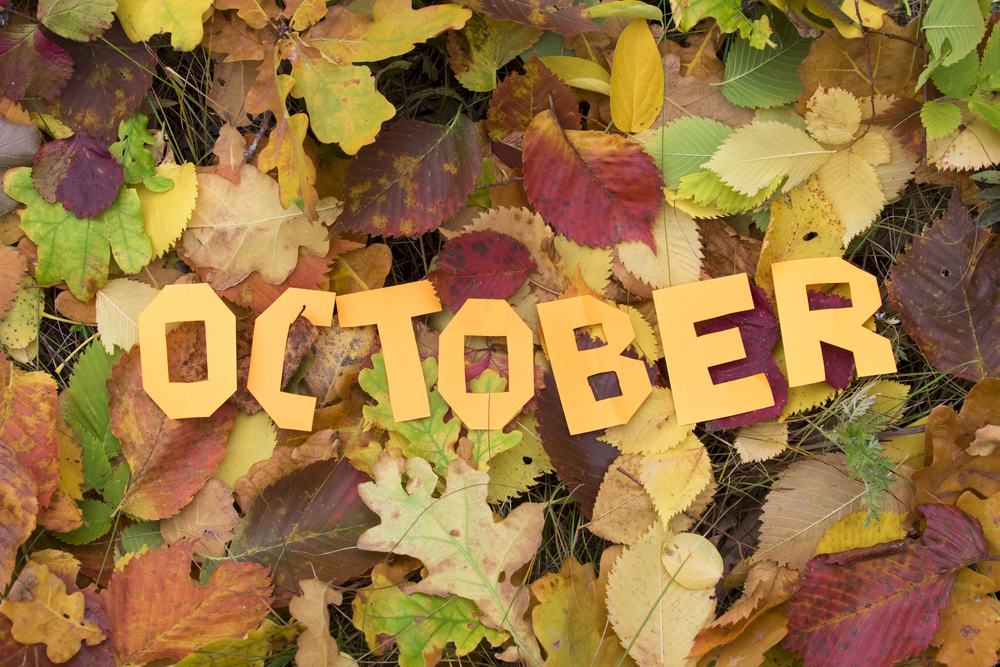 Fun ideas for the October half term