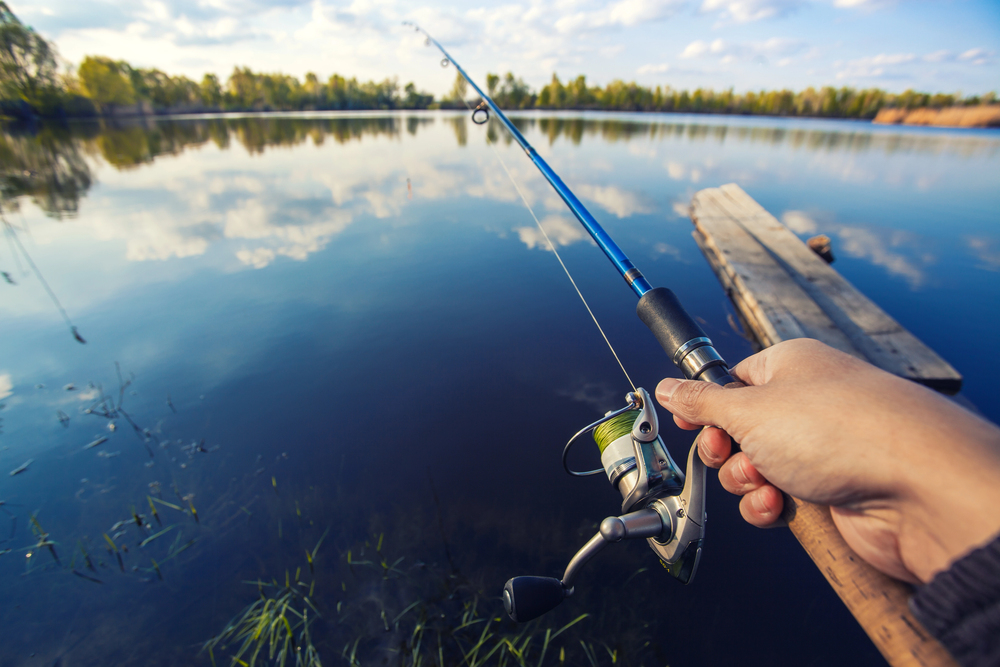 Catch the Big One: What to Expect on a Guided Bass Fishing Trip in Orlando