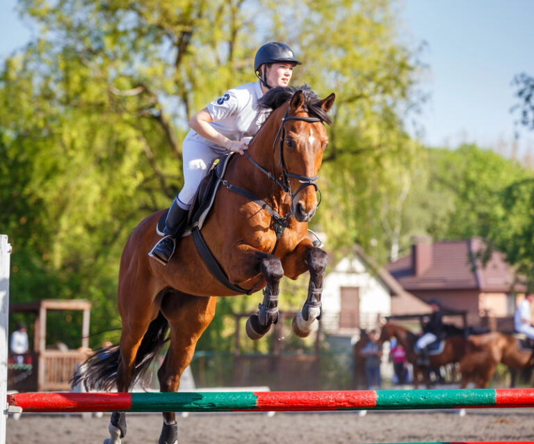 Why Riders Prefer High-Performance Equestrian Show Shirts?