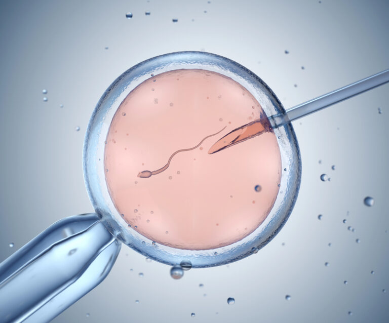 How Egg Donation Programs Work Step by Step