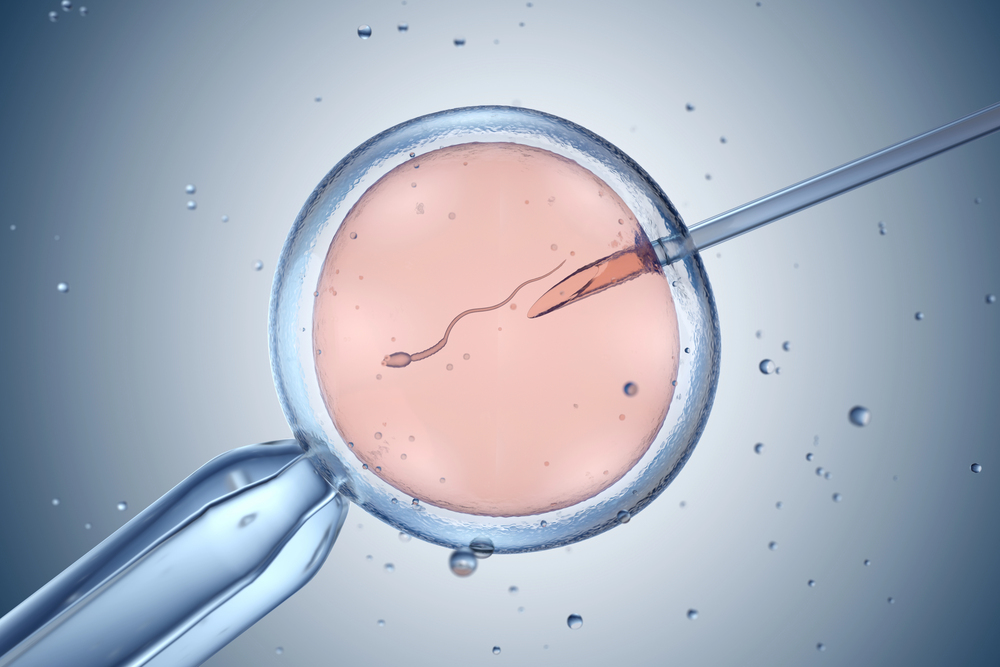How Egg Donation Programs Work Step by Step