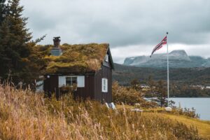 Rooftop Biodiversity: Turning Your Home’s Crown into a Micro‑Habitat