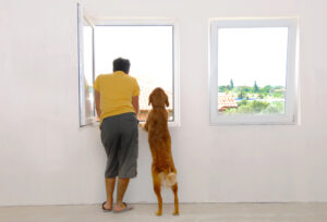 Tips for Choosing Windows That Enhance Your Home’s Comfort and Look
