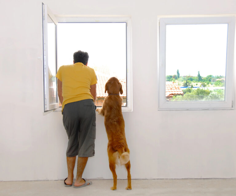 Tips for Choosing Windows That Enhance Your Home’s Comfort and Look