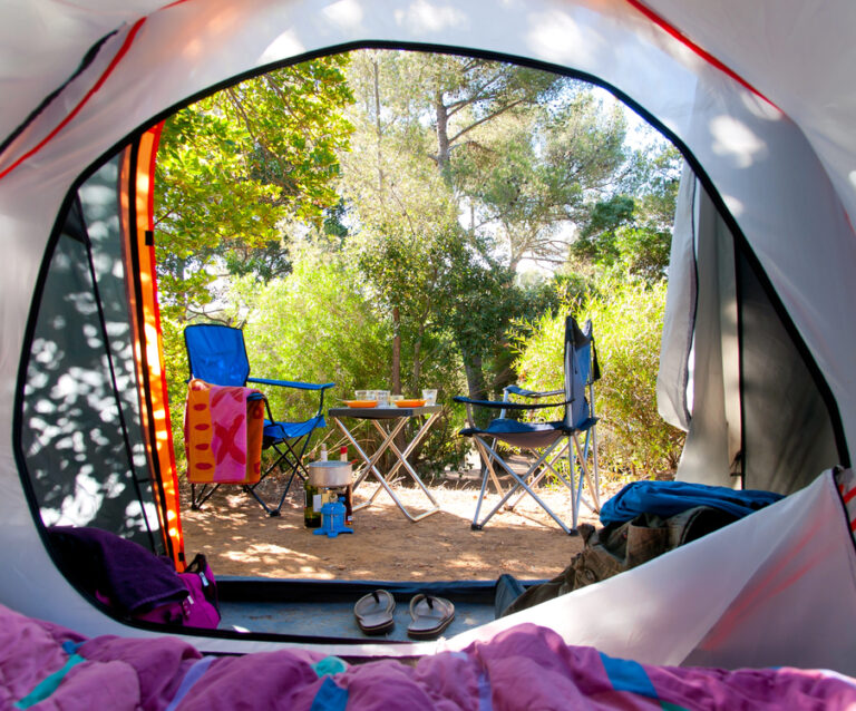 How to Pick the Right Double Decker Wagon for Camping?