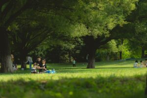 Family Friendly Home Projects You Can Do On a Weekend