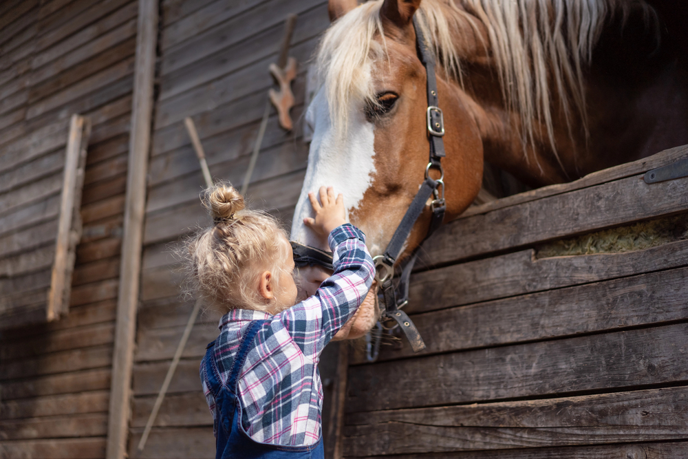 Do Horses Make Good Family Pets? What Parents Should Know