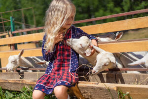 A Parent’s Guide to Creating a Kid-Friendly Smallholding
