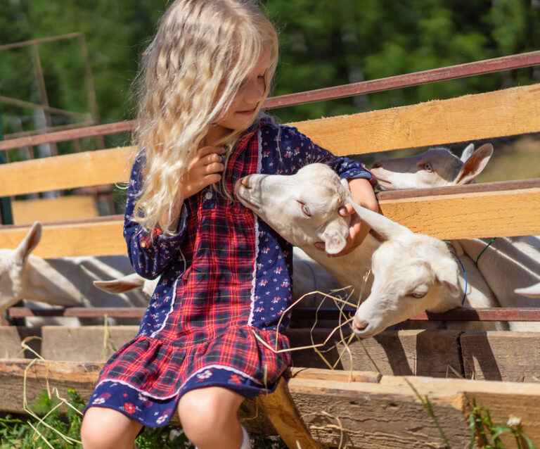 A Parent’s Guide to Creating a Kid-Friendly Smallholding