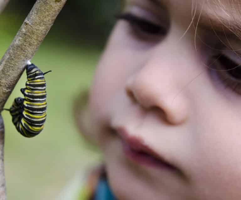 How to Create a Wildlife Garden That Children Will Love