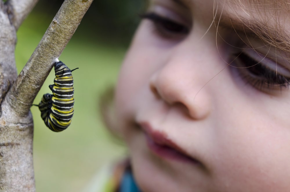 How to Create a Wildlife Garden That Children Will Love